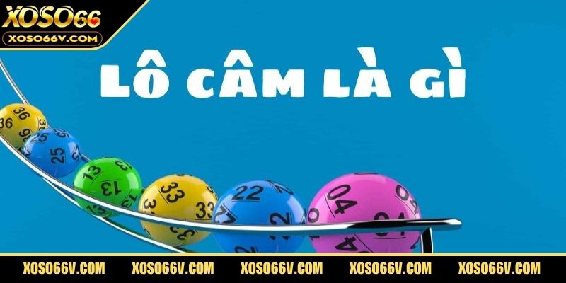 Giải thích lô đầu câm và nguyên nhân nên lựa chọn cách soi này